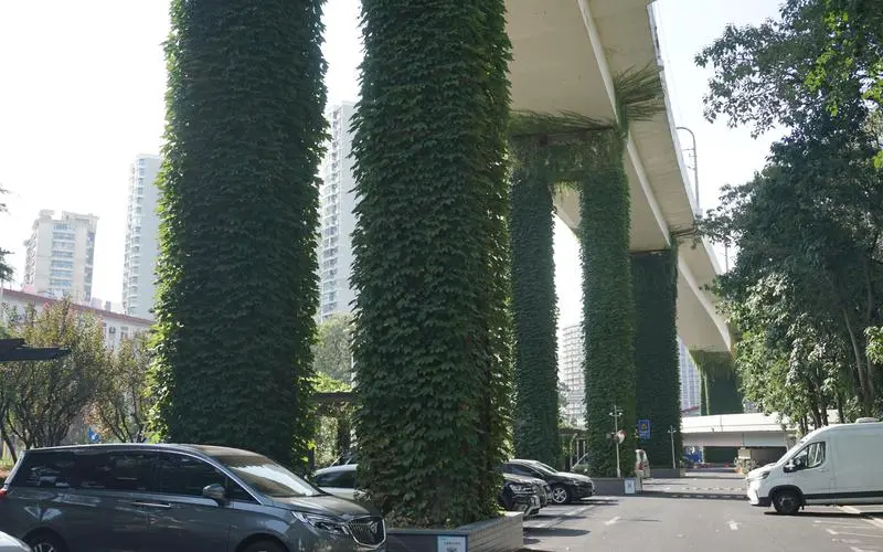 吕淑湘学校景观绿化工程