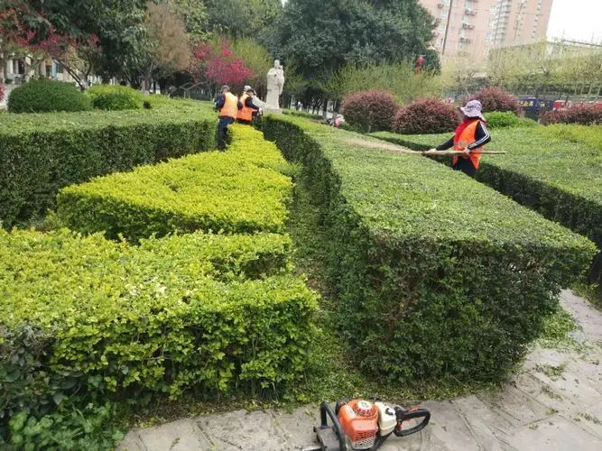 园林美化城市的引领者：景观建筑师在诠释城市梦想中的角色