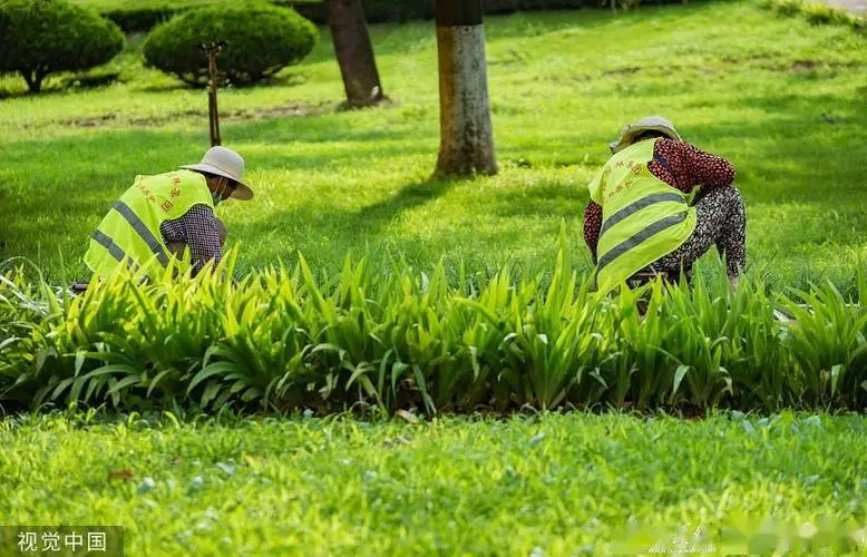 佛山园林绿化工程合同范本