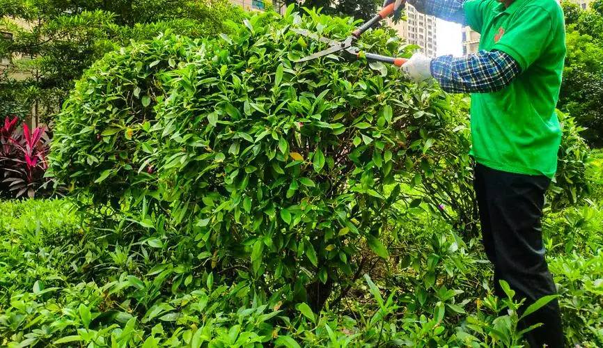 别墅园林景观设计现代装修